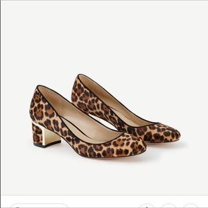Ann Taylor Leopard pumps.